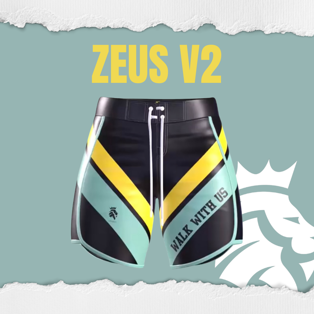 ZEUS V2